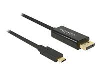 Externí video adaptér - USB-C - DisplayPort - černá - maloobchod
