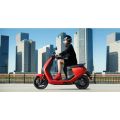 SEGWAY eScooter E110S, Elektrický skúter, šedý