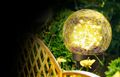 Solární svítidlo SUPERFIRE FF16-A