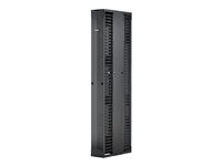 Vertical Cable Manager 2 Doors