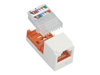 Modul - CAT 5e - UTP - RJ-45 - arktická bílá
