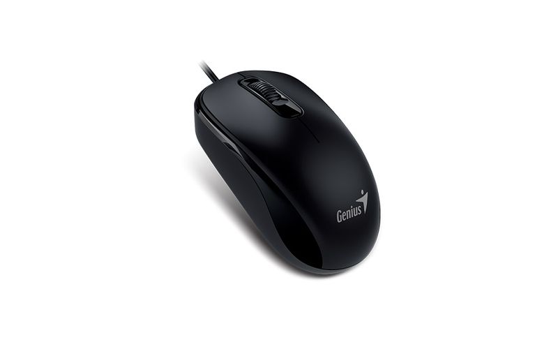 GENIUS DX-110/Kancelářská/Optická/1 000 DPI/Drátová USB/Černá