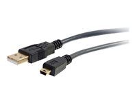 Kabel USB - USB (M) do mini-USB typ B (M) - USB 2.0 - 3 m - lisovaný - uhlově šedá