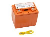 Baterie - LiFePO4 - 45 Ah - pro StyleView EMR Cart with LCD Arm, LiFe Powered, EMR Cart with LCD Pivot, LiFe Powered