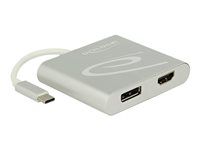 Externí video adaptér - USB-C - HDMI, DisplayPort - stříbrná - maloobchod