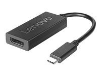 Adaptér USB / DisplayPort - USB-C (M) do DisplayPort (F) - DisplayPort 1.2a - podporuje 4K - pro ThinkBook 14s Yoga G2 IAP; ThinkCentre M75t Gen 2; ThinkPad T14s Gen 3; T16 Gen 4