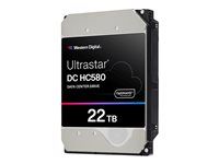 Pevný disk - Datové centrum - 22 TB - interní - 3.5" - SAS 12Gb/s - 7200 ot/min. - vyrovnávací paměť: 512 MB