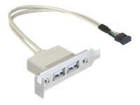 Kabel USB - USB (F) do hlavička USB 9 pinů (F) - USB 2.0 - 50 cm
