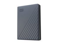 Pevný disk - šifrovaný - 6 TB - externí (přenosný) - USB 3.2 Gen 1 - AES 256 bitů - silikonová šedá