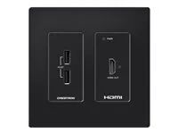 Video/audio/USB extendér - receiver - DM Lite - přes CATx - až 70 m