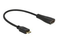 Kabel HDMI s ethernetem - 19 pin mini HDMI Type C s piny (male) do HDMI se zdířkami (female) - 23 cm - černá