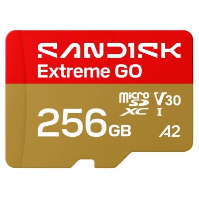 SanDisk Extreme Go SDXC 256GB 240MB/s V30