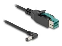 PoweredUSB cable male 12 V to DC 5.5 x 2