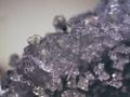 Stereomikroskop Bresser Erudit ICD