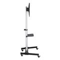 SBOX FS-444, Podlahový držák na TV, 37" - 86"