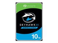 Pevný disk - 10 TB - interní - 3.5" - SATA 6Gb/s - 7200 ot/min. - vyrovnávací paměť: 256 MB