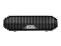 Pevný disk - Enterprise - 22 TB - externí (stolní) - USB 3.2 Gen 2 (USB-C konektor) - 7200 ot/min.