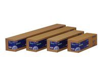 Matný - Role (43,2 cm x 30,5 m) - 189 g/m² - papír - pro Stylus Pro 4900 Spectro_M1; SureColor P5000, SC-P10000, P20000, P5000, P6000, P7500, P9500