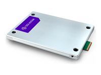 SSD - Enterprise - 30.72 TB - interní - E3.S - PCIe 4.0 x4 (NVMe)