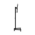SBOX FS-622, Podlahový stojan na TV, 13" - 50"
