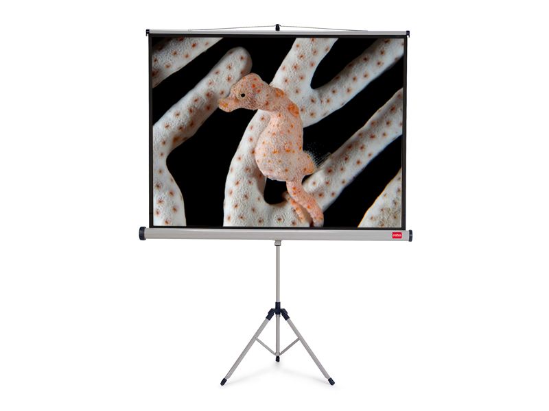NOBO Tripod plátno š175 x v132 -matný bílý,4:3