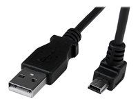 2m - Black - USB A to Mini USB B - USB to Mini USB Cable - Mini USB Charger - USB A to Mini B (USBAMB2MD) - Kabel USB - USB (M) do mini-USB typ B (M) - USB 2.0 - 2 m - lisovaný, 90° konektor - černá