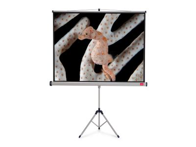 NOBO Wall Screen š150 x v114 -matný bílý,4:3