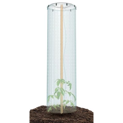 Sada pro pěstování rajčat TOMATO GROWER CAP 38,5cm