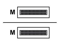 Cisco - Kabel pro prímé pripojení 400 GBase-AOC - QSFP-DD (M) do QSFP-DD (M) - 1 m - optické vlákno - Active Optical Cable (AOC) - pro P/N: 8800-LC-36FH=, 8800-LC-36FH-B=, 8804-SYS, 8808-SYS, 8812-SYS, 8818-SYS