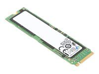 SSD - šifrovaný - 256 GB - interní - M.2 2280 - PCIe - TCG Opal Encryption 2.0