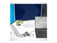 Multi-Stream Transport Hub (MST14CD123HD) - Rozdělovač video / audio - 3 x HDMI - desktop