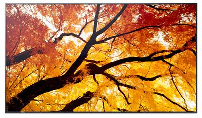 50" LED SHARP M502,3840x2160,24/7