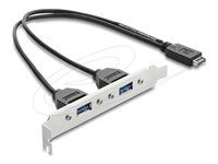 USB Type-E Key A male to 2 x USB 5 Gbps