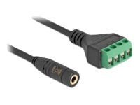 Cable Stereo jack female 3.5 mm 4 pin to