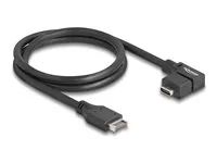 USB 10 Gbps Cable Type-E Key A 20 pin ma