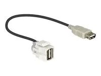 Modul - USB Type A