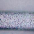 Polarizační digitální mikroskop MAGUS Pol D850 LCD