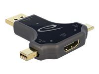 Video adaptér - USB-C, Mini DisplayPort, DisplayPort s piny (male) do HDMI se zdířkami (female) - antracit - podporuje 4K