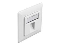 Zásuvka Keystone Socket - s popisovacím oknem - úhlový - 1 modul - čistě bílá, RAL 9010