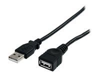 10ft USB 2.0 Extension Cable - 10ft USB male female Cable (USBEXTAA10BK) - Prodlužovací šňůra USB - USB (M) do USB (F) - USB 2.0 - 3 m - černá - pro P/N: 35FCREADBK3, ICUSB2321F, ICUSB232PRO, ICUSB232V2, LTUB1MBK, MSDREADU2OTG, UUSBOTG