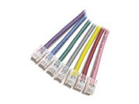 Patch kabel - RJ-45 (M) do RJ-45 (M) - 30.5 m - UTP - CAT 5 - licna - šedá