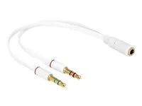 Adaptér na sluchátka - mini-phone stereo 3.5 mm s piny (male) do 4 pólový mini jack se zdířkami (female) - 20 cm - bílá