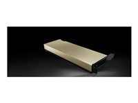 NVIDIA L4 - Grafický počítačový procesor - L4 - 24 GB - pro P/N: HCIAF220C-M7SN, HCIAF240C-M7SN-FRE, HCINX220C-M8S, HCINX225C-M8SN, HCINX240C-M8E3S