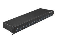 Rozbočovač - 13 x USB 3.1 Gen 1 - Lze montovat do rozvaděče