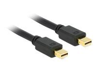 Kabel DisplayPort - Mini DisplayPort (M) do Mini DisplayPort (M) - 1.5 m - černá