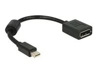 Adaptér DisplayPort - DisplayPort (F) do Mini DisplayPort (M) - 21 cm - černá