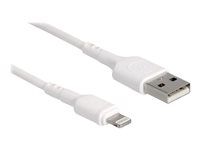 Kabel Lightning - USB s piny (male) do Lightning s piny (male) - 30 cm - bílá