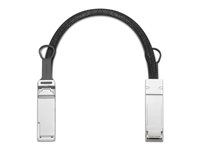 Kabel pro přímé připojení 200GBase - QSFP do QSFP - 40 cm - optické vlákno
