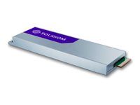 SSD - šifrovaný - 3.84 TB - interní - E1.S 9.5mm - PCIe 4.0 x4 (NVMe) - TCG Opal Encryption
