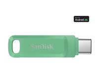 Jednotka USB flash - 64 GB - USB 3.2 Gen 1 / USB-C - zelená absinthe